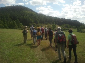 Gruppe von Wanderern unterwegs in Richtung Wald