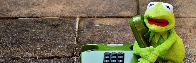 Frosch telefoniert